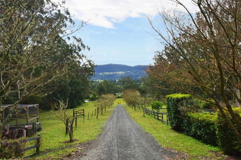 Maple Cottage - Queensland Tourism 6