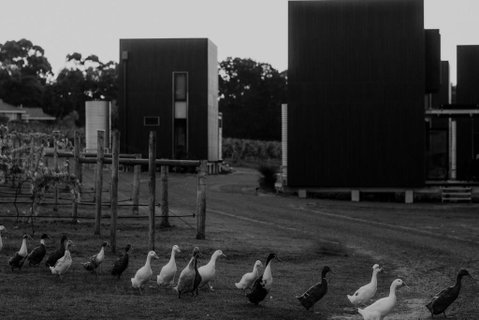 Barn Hives Yallingup - Queensland Tourism 1
