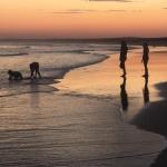 Cromarty Cottage 900m From Birubi Beach - QLD Tourism 0