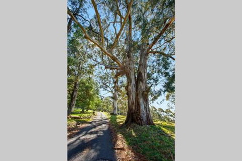 WOOLWAY - QLD Tourism 2