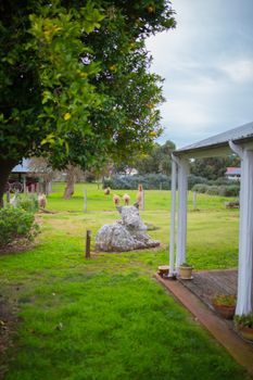 Davidsons Cottage - Queensland Tourism 5
