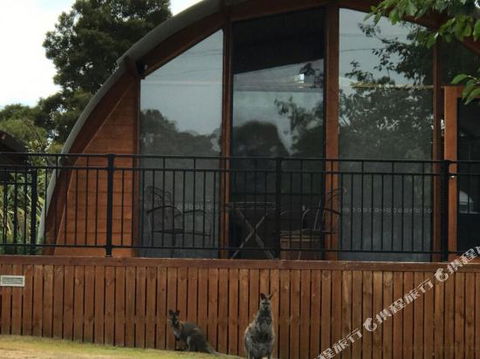Bruny Island Accommodation 43 Degrees Beachside Studio Spa Apartments (1) - Queensland Tourism 1