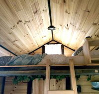 Big Tiny Dale View Tiny House - Queensland Tourism