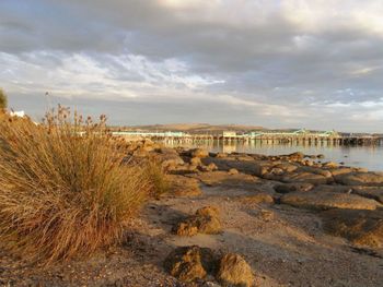 Port Lincoln Holiday Houses - Queensland Tourism 4