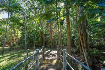 Paperbark - QLD Tourism 1