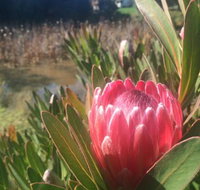 Creswick Cabin Retreat - QLD Tourism