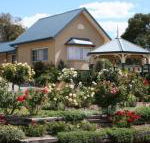 Willows Motel