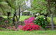 North East Rest Awhile Bed & Breakfast - thumb 0