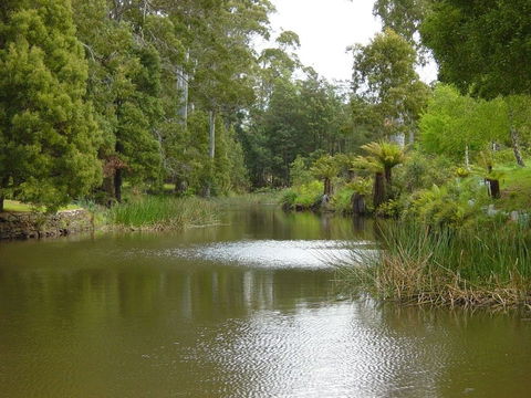 North East Rest Awhile Bed & Breakfast - QLD Tourism 1