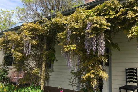 Clarence Cottage - QLD Tourism 0