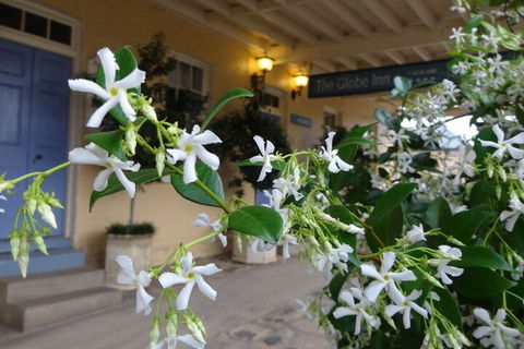 The Globe Inn - Queensland Tourism 2