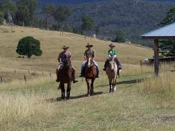 Lillydale Farmstay - QLD Tourism 0