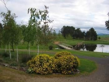 Buttercup Cottage & Private Apartment - Queensland Tourism 3