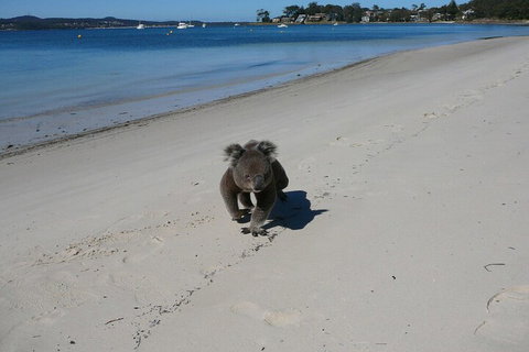 The Mitchells Waterfront Bed & Breakfast - QLD Tourism 7