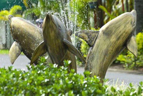 Cairns Coconut Holiday Resort - QLD Tourism 1