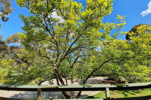Annies Holiday Units - Queensland Tourism 2