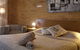 White Lanterns Motel - thumb 5
