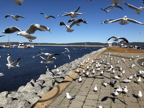 Albany Foreshore Guest House - QLD Tourism 4