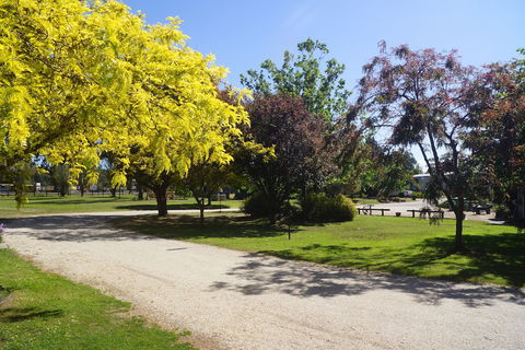 All Seasons Mansfield - QLD Tourism 5