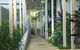 Plantation Resort At Rainbow - thumb 1