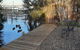 Boat Haven Studios - thumb 1
