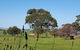 Dees Villa Bed & Breakfast - thumb 6