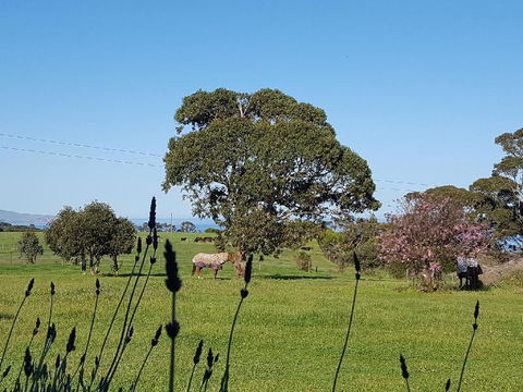 Dees Villa Bed & Breakfast - QLD Tourism 6