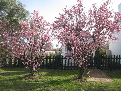 Sorell Barracks - QLD Tourism 3