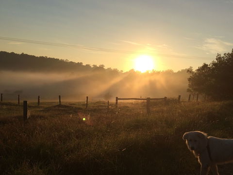 Bryn Glas Farm Stay - Queensland Tourism 2