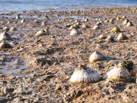 Port Lincoln Holiday Apartments - Queensland Tourism 5