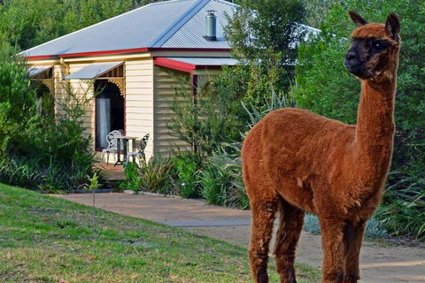 Araluen Park Cottages - Queensland Tourism 6