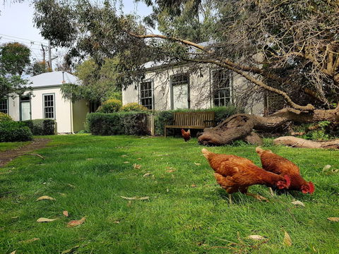 Clonmara Country House & Cottages - QLD Tourism 1