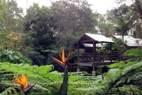 The Oasis At One Mile Beach - QLD Tourism 2