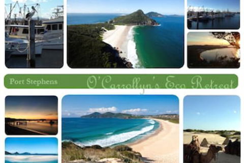 The Oasis At One Mile Beach - QLD Tourism 5