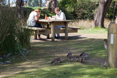 Lorne Foreshore Caravan Park - QLD Tourism 4