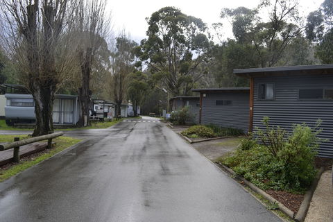 Lorne Foreshore Caravan Park - QLD Tourism 5
