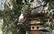 The Dove Cote - thumb 5