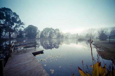 Sanctuary Park Cottages - QLD Tourism 0