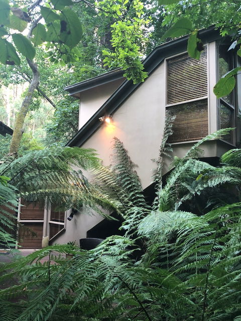 Linden Gardens Rainforest Retreat - Queensland Tourism 2