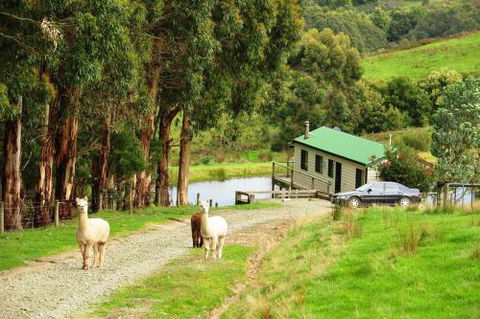 Johanna River Farm & Cottages - QLD Tourism 5
