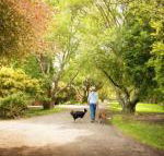 Johanna River Farm  Cottages - QLD Tourism