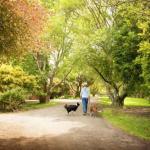Johanna River Farm & Cottages - QLD Tourism 0