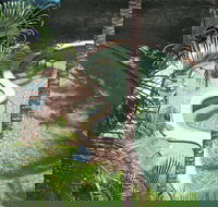 Palms at Trinity - QLD Tourism