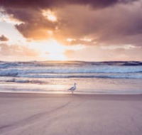 Blue Waters Motel - Queensland Tourism