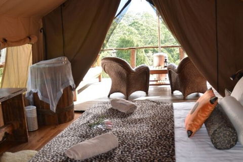 Silk Pavilions Glamping - Queensland Tourism 4