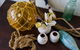 Bay Breeze Boutique Accommodation - thumb 1
