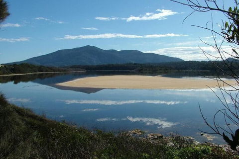 Bermagui Motor Inn - QLD Tourism 3