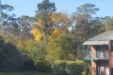 Hepburn Springs Motor Inn - Queensland Tourism 5