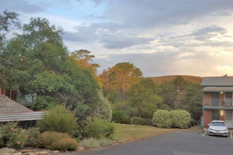 Hepburn Springs Motor Inn - Queensland Tourism 4