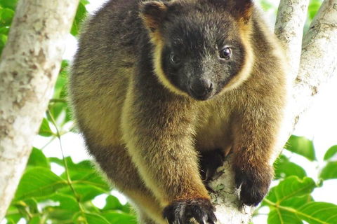 Mt Quincan Crater Retreat - Queensland Tourism 2